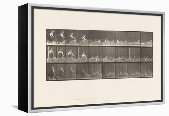 Plate 455. Throwing Self on Heap of Hay, 1885 (Collotype on Paper)-Eadweard Muybridge-Framed Premier Image Canvas