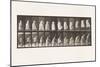 Plate 457.Stepping on Chair, and Reaching Up, 1885 (Collotype on Paper)-Eadweard Muybridge-Mounted Giclee Print