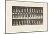 Plate 459. Stepping on Chair, Reaching up and Descending, 1885 (Collotype on Paper)-Eadweard Muybridge-Mounted Giclee Print
