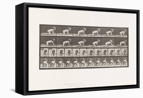 Plate 471. Child, Crawling on Hands and Knees, 1885 (Collotype on Paper)-Eadweard Muybridge-Framed Premier Image Canvas