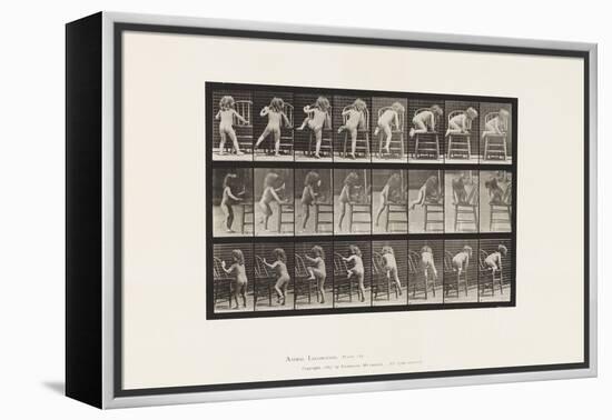 Plate 475. Child, Getting up on Chair, 1885 (Collotype on Paper)-Eadweard Muybridge-Framed Premier Image Canvas