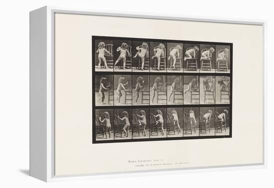 Plate 475. Child, Getting up on Chair, 1885 (Collotype on Paper)-Eadweard Muybridge-Framed Premier Image Canvas