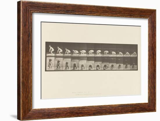 Plate 479. Child, Getting up from the Ground, 1885 (Collotype on Paper)-Eadweard Muybridge-Framed Giclee Print