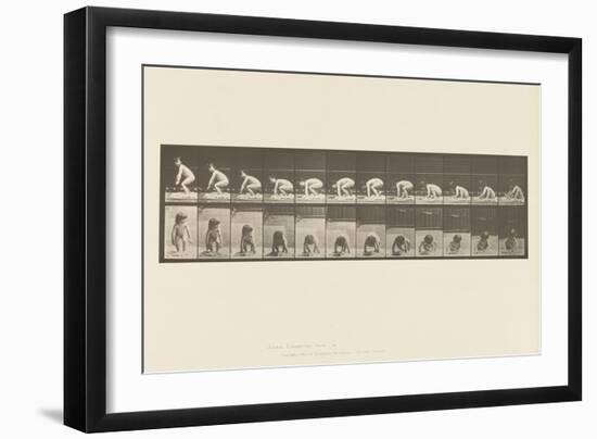 Plate 479. Child, Getting up from the Ground, 1885 (Collotype on Paper)-Eadweard Muybridge-Framed Giclee Print