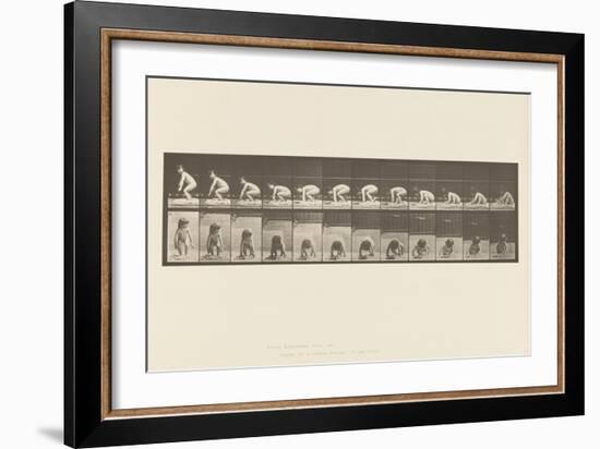 Plate 479. Child, Getting up from the Ground, 1885 (Collotype on Paper)-Eadweard Muybridge-Framed Giclee Print