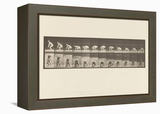 Plate 479. Child, Getting up from the Ground, 1885 (Collotype on Paper)-Eadweard Muybridge-Framed Premier Image Canvas