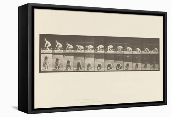 Plate 479. Child, Getting up from the Ground, 1885 (Collotype on Paper)-Eadweard Muybridge-Framed Premier Image Canvas