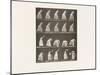 Plate 484. A, Sweeping; B, Dusting a Room, 1885 (Collotype on Paper)-Eadweard Muybridge-Mounted Giclee Print