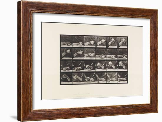 Plate 534. Movement of the Hand; Lifting a Ball, 1885 (Collotype on Paper)-Eadweard Muybridge-Framed Giclee Print