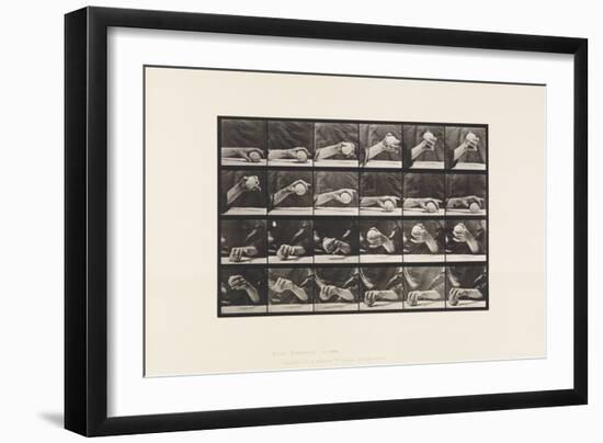 Plate 534. Movement of the Hand; Lifting a Ball, 1885 (Collotype on Paper)-Eadweard Muybridge-Framed Giclee Print