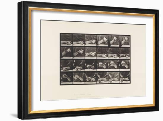 Plate 534. Movement of the Hand; Lifting a Ball, 1885 (Collotype on Paper)-Eadweard Muybridge-Framed Giclee Print