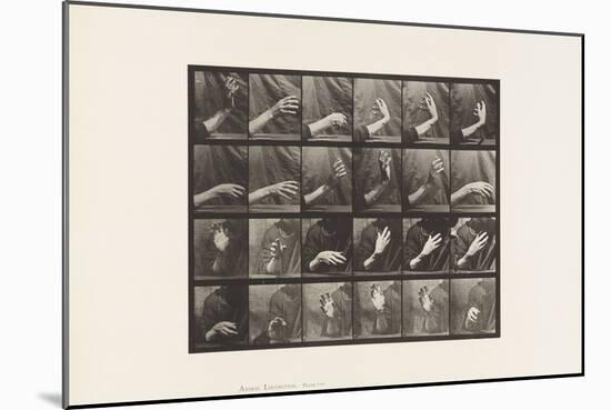 Plate 535. Movement of the Hand; Beating Time, 1885 (Collotype on Paper)-Eadweard Muybridge-Mounted Giclee Print