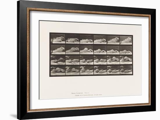 Plate 536. Movement of the Hand; Hands Changing Pencil, 1885 (Collotype on Paper)-Eadweard Muybridge-Framed Giclee Print