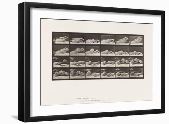Plate 536. Movement of the Hand; Hands Changing Pencil, 1885 (Collotype on Paper)-Eadweard Muybridge-Framed Giclee Print