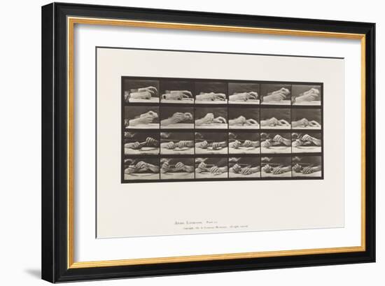 Plate 536. Movement of the Hand; Hands Changing Pencil, 1885 (Collotype on Paper)-Eadweard Muybridge-Framed Giclee Print