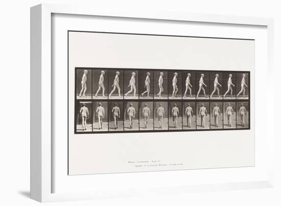 Plate 562. Lateral Curvature of Spine; Walking, 1885 (Collotype on Paper)-Eadweard Muybridge-Framed Giclee Print