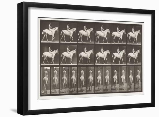 Plate 581. Walking; Bareback; Rider,43, Nude; Light-Gray Horse Smith, 1885 (Collotype on Paper)-Eadweard Muybridge-Framed Giclee Print