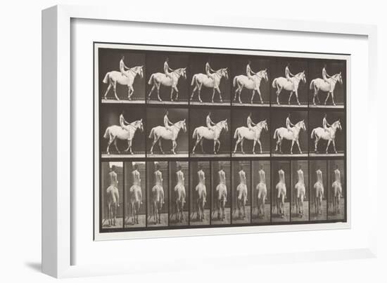 Plate 581. Walking; Bareback; Rider,43, Nude; Light-Gray Horse Smith, 1885 (Collotype on Paper)-Eadweard Muybridge-Framed Giclee Print