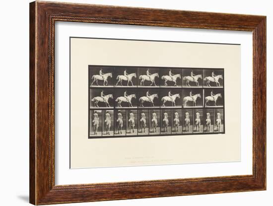 Plate 582. Walking;Saddle; Rider, 43, Nude; Light-Gray Horse Smith, 1885 (Collotype on Paper)-Eadweard Muybridge-Framed Giclee Print