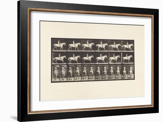 Plate 582. Walking;Saddle; Rider, 43, Nude; Light-Gray Horse Smith, 1885 (Collotype on Paper)-Eadweard Muybridge-Framed Giclee Print