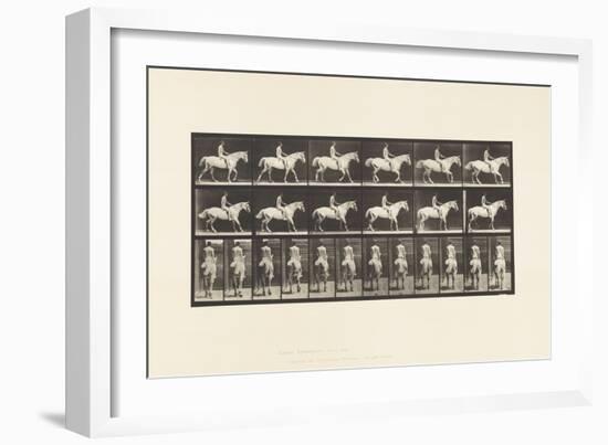 Plate 582. Walking;Saddle; Rider, 43, Nude; Light-Gray Horse Smith, 1885 (Collotype on Paper)-Eadweard Muybridge-Framed Giclee Print