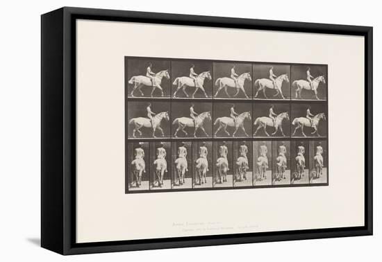 Plate 603. Trotting; Saddle; Ride, 43, Wide, Light-Gray Horse Smith, 1885 (Collotype on Paper)-Eadweard Muybridge-Framed Premier Image Canvas