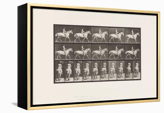 Plate 603. Trotting; Saddle; Ride, 43, Wide, Light-Gray Horse Smith, 1885 (Collotype on Paper)-Eadweard Muybridge-Framed Premier Image Canvas