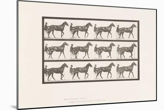 Plate 605. Trotting; Sulky; Bay Horse, Reuben, 1885 (Collotype on Paper)-Eadweard Muybridge-Mounted Giclee Print