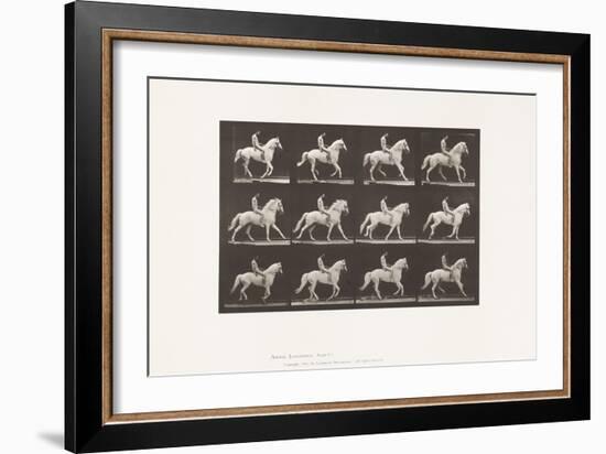 Plate 617. Canter; Bareback; Rider, 106, Nude;White Horse Clinton, 1885 (Collotype on Paper)-Eadweard Muybridge-Framed Giclee Print