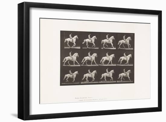 Plate 617. Canter; Bareback; Rider, 106, Nude;White Horse Clinton, 1885 (Collotype on Paper)-Eadweard Muybridge-Framed Giclee Print