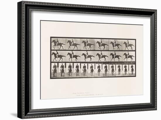 Plate 618. Canter; Sudde; Brown Horse Middleton, 1885 (Collotype on Paper)-Eadweard Muybridge-Framed Giclee Print