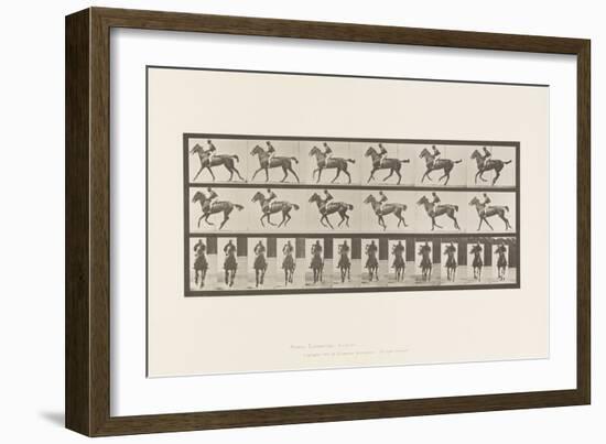 Plate 621. Canter; Saddle; Thoroughbred Bay Mare Annie 6, 1885 (Collotype on Paper)-Eadweard Muybridge-Framed Giclee Print