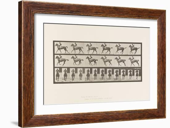 Plate 621. Canter; Saddle; Thoroughbred Bay Mare Annie 6, 1885 (Collotype on Paper)-Eadweard Muybridge-Framed Giclee Print