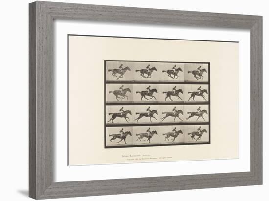 Plate 626. Gallop; Thoroughbred Bay Mare Annie G., 1885 (Collotype on Paper)-Eadweard Muybridge-Framed Giclee Print