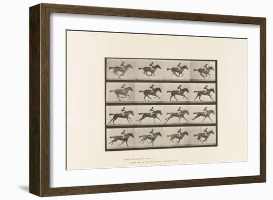 Plate 626. Gallop; Thoroughbred Bay Mare Annie G., 1885 (Collotype on Paper)-Eadweard Muybridge-Framed Giclee Print