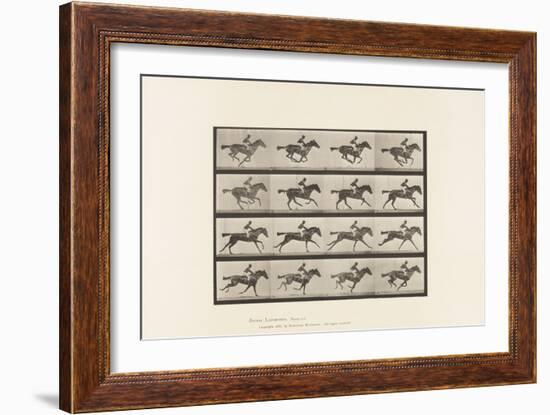 Plate 626. Gallop; Thoroughbred Bay Mare Annie G., 1885 (Collotype on Paper)-Eadweard Muybridge-Framed Giclee Print