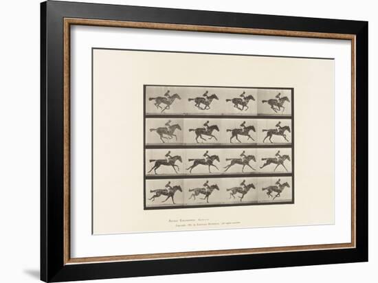 Plate 626. Gallop; Thoroughbred Bay Mare Annie G., 1885 (Collotype on Paper)-Eadweard Muybridge-Framed Giclee Print