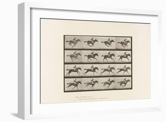 Plate 626. Gallop; Thoroughbred Bay Mare Annie G., 1885 (Collotype on Paper)-Eadweard Muybridge-Framed Giclee Print