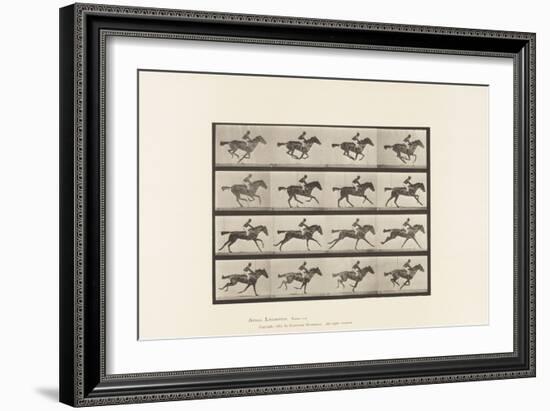 Plate 626. Gallop; Thoroughbred Bay Mare Annie G., 1885 (Collotype on Paper)-Eadweard Muybridge-Framed Giclee Print