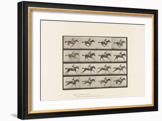 Plate 626. Gallop; Thoroughbred Bay Mare Annie G., 1885 (Collotype on Paper)-Eadweard Muybridge-Framed Giclee Print