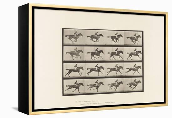 Plate 626. Gallop; Thoroughbred Bay Mare Annie G., 1885 (Collotype on Paper)-Eadweard Muybridge-Framed Premier Image Canvas