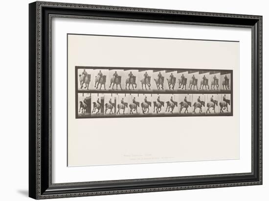 Plate 629. Gallop; Bareback; Belgian Draught Horse Hansel, 1885 (Collotype on Paper)-Eadweard Muybridge-Framed Giclee Print
