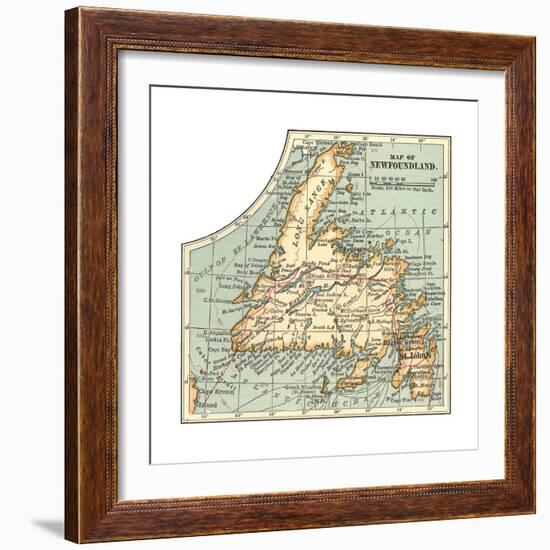 Plate 63. Inset Map of Newfoundland. Canada-Encyclopaedia Britannica-Framed Giclee Print