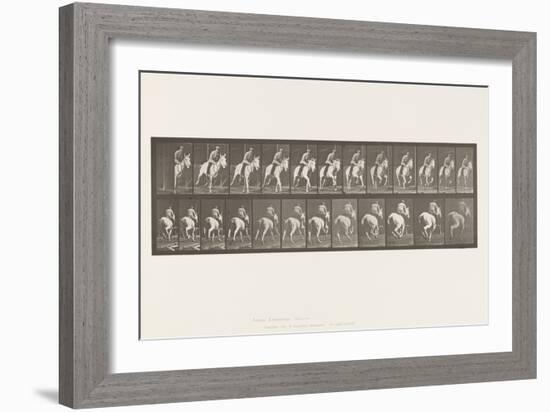 Plate 635. Gallop; Saddle; Gray Mare, Pandora, 1885 (Collotype on Paper)-Eadweard Muybridge-Framed Giclee Print