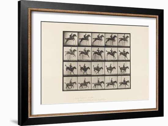 Plate 637. Jumping a Hurdle; Saddle; Clearing; Landing &, 1885 (Collotype on Paper)-Eadweard Muybridge-Framed Giclee Print