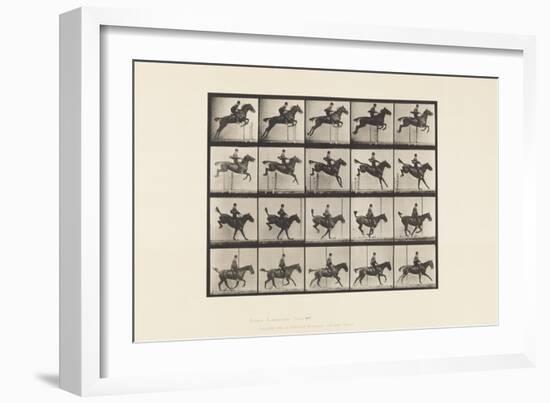 Plate 637. Jumping a Hurdle; Saddle; Clearing; Landing &, 1885 (Collotype on Paper)-Eadweard Muybridge-Framed Giclee Print
