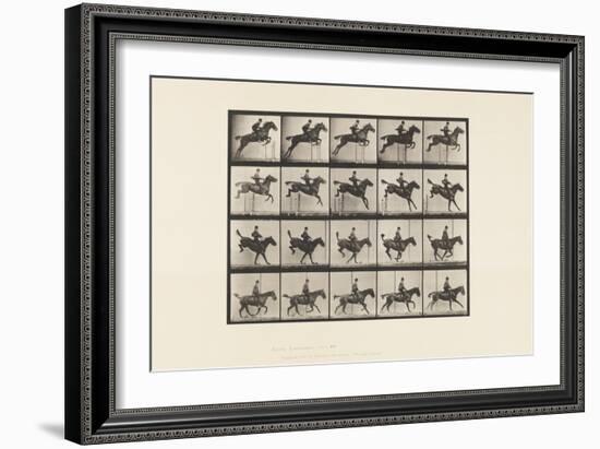 Plate 637. Jumping a Hurdle; Saddle; Clearing; Landing &, 1885 (Collotype on Paper)-Eadweard Muybridge-Framed Giclee Print