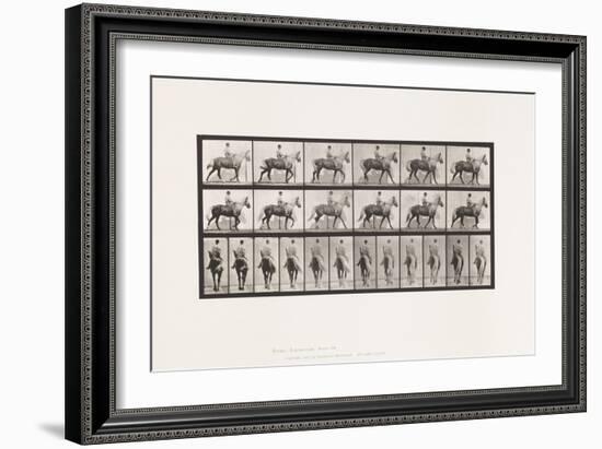 Plate 653. Walking; Saddle; Lame, right Front Foot;Horse-Buckskin, 1885 (Collotype on Paper)-Eadweard Muybridge-Framed Giclee Print