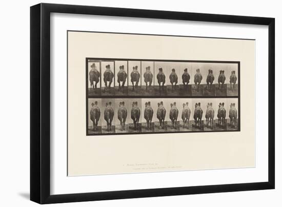 Plate 741. Bactrian Camel; A, Walking; B, Racking, 1885 (Collotype on Paper)-Eadweard Muybridge-Framed Giclee Print