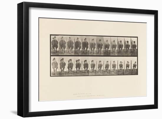 Plate 742. Bactrian Camel; A, Racking; B, Galloping, 1885 (Collotype on Paper)-Eadweard Muybridge-Framed Giclee Print